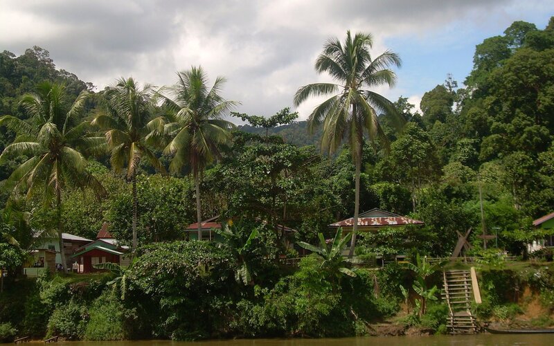 River Village with Palm Trees — Green