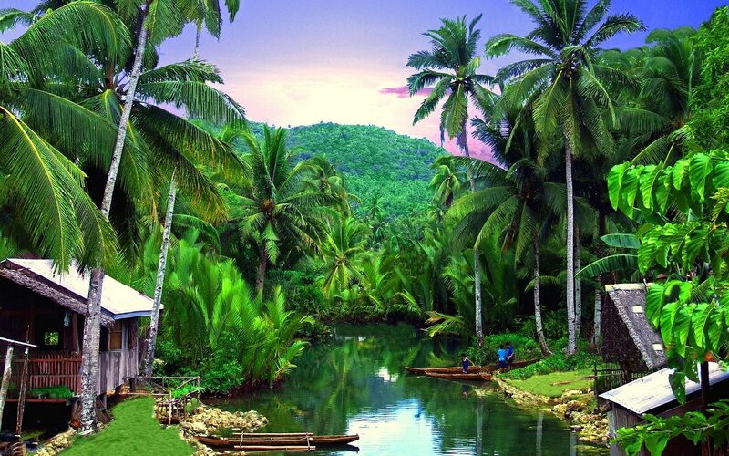 River Village with Palm Trees