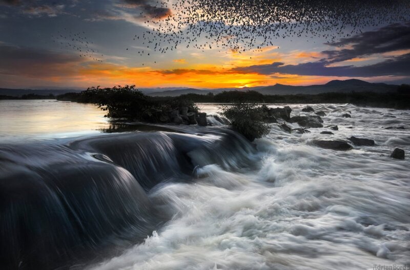 River Waterfall at Sunset — Orange, Dramatic, Photograph, Birds
