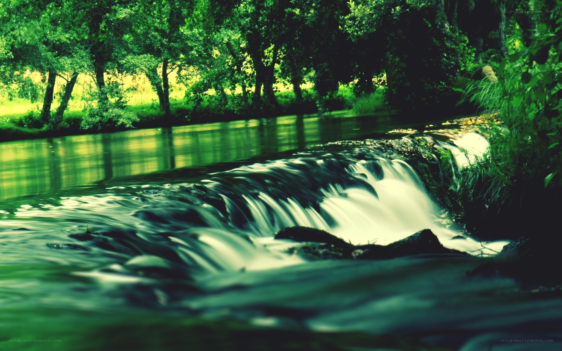 River waterfall in forest