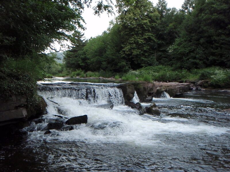 River waterfall in forest