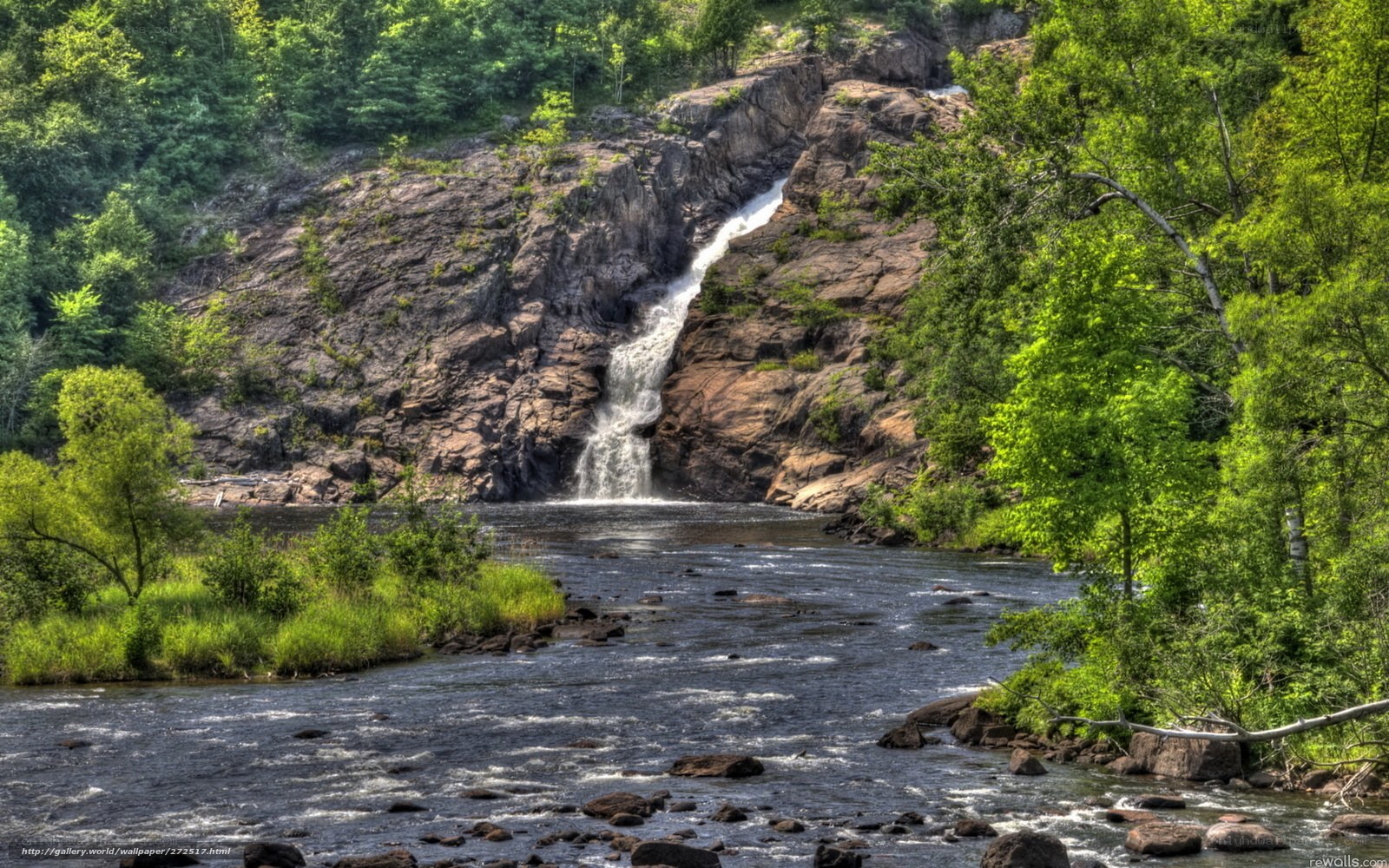 river waterfall in forest