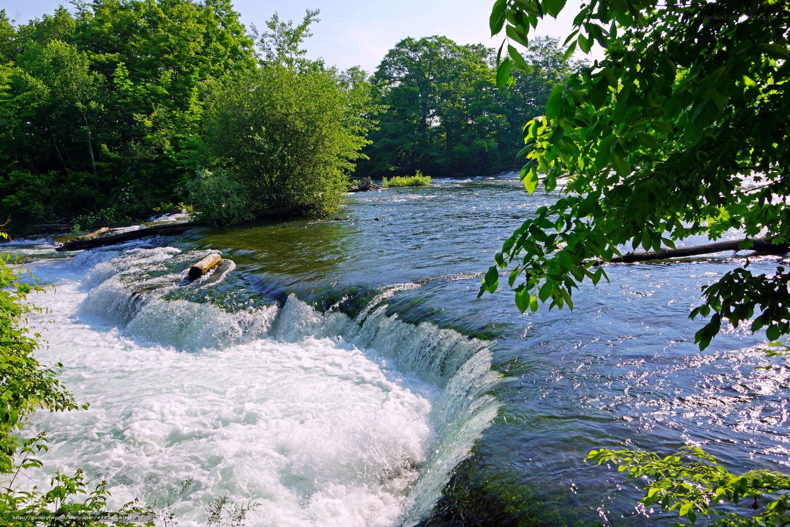 River waterfall in forest
