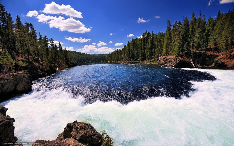 river waterfall in forest
