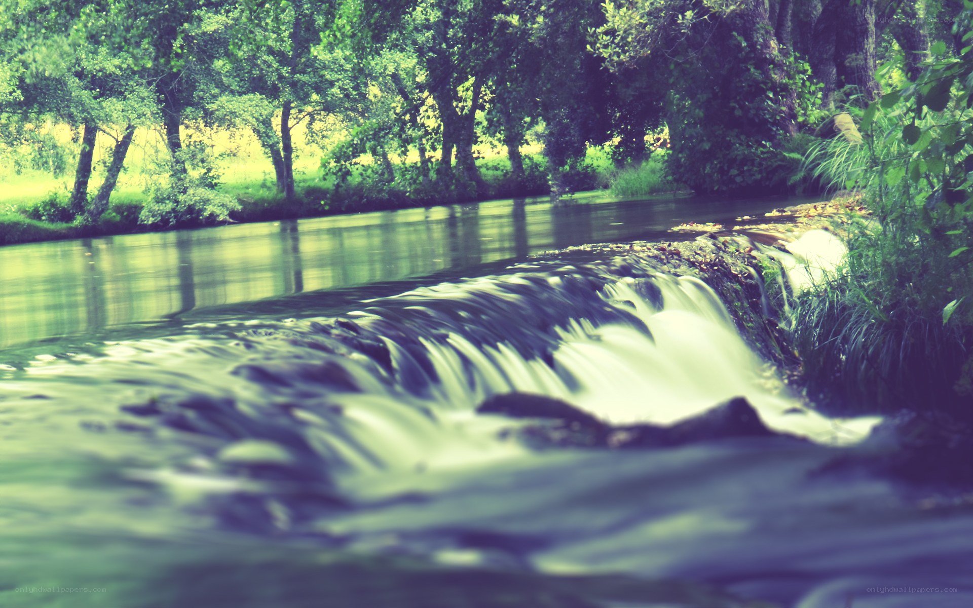 River waterfall in forest