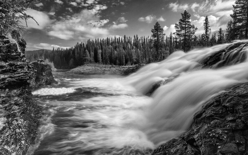 River Waterfall in Forest — Black