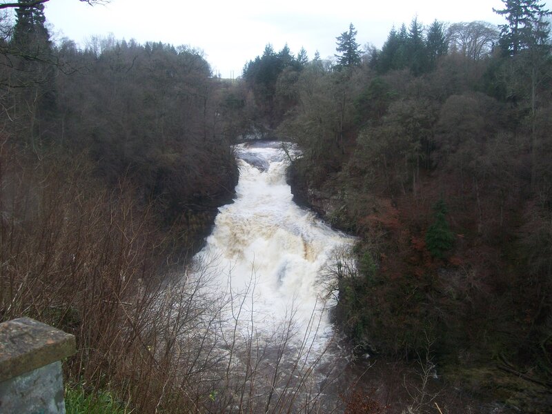 River Waterfall in Forest — Brown