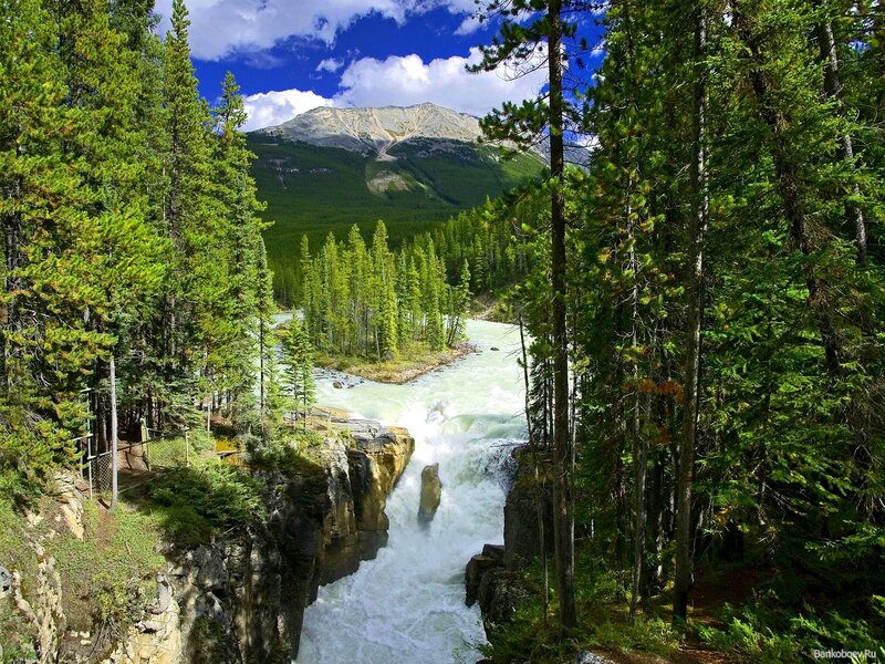 River Waterfall in Forest — Green, Dramatic, Afternoon, Photograph, Mountain