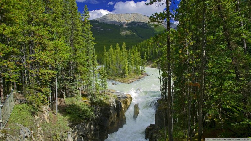 River Waterfall in Forest — Green, Dramatic, Afternoon
