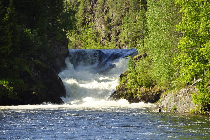 River Waterfall in Forest — Green, Dynamic, Afternoon
