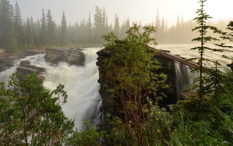 River Waterfall in Forest — Green, Misty