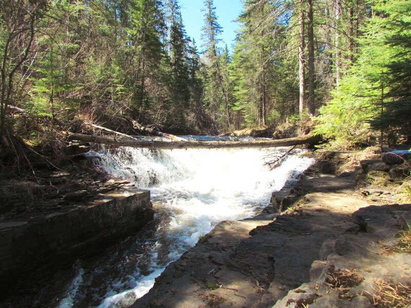 River Waterfall in Forest — Green, Natural, Afternoon