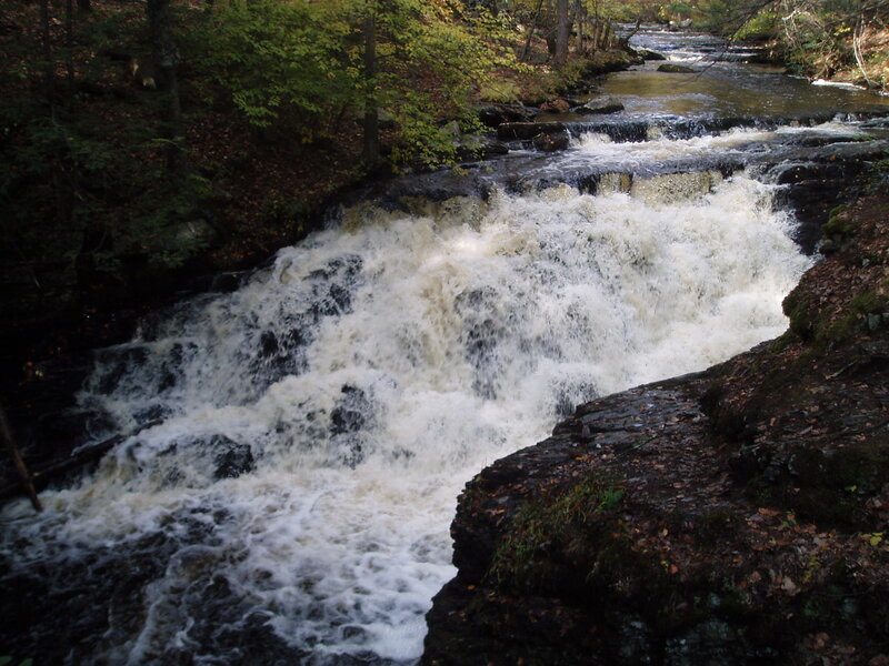 River Waterfall in Forest — Green, Natural, Autumn