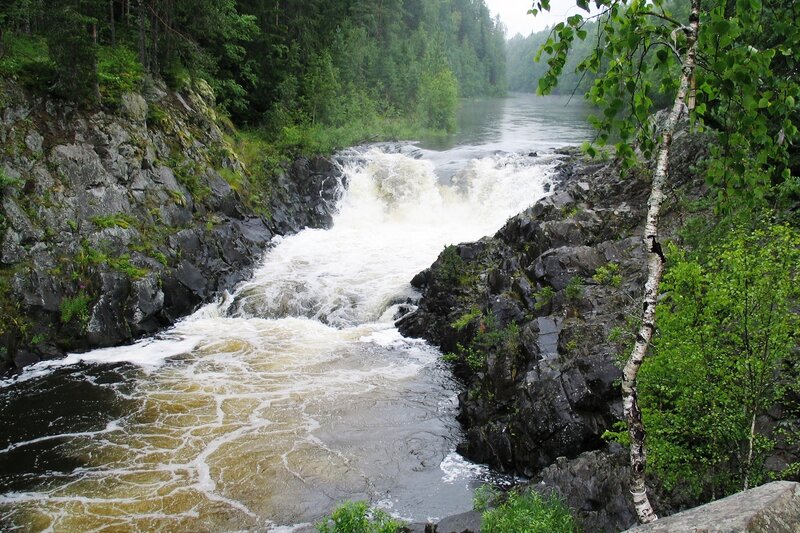 River Waterfall in Forest — Green, Natural, Photograph