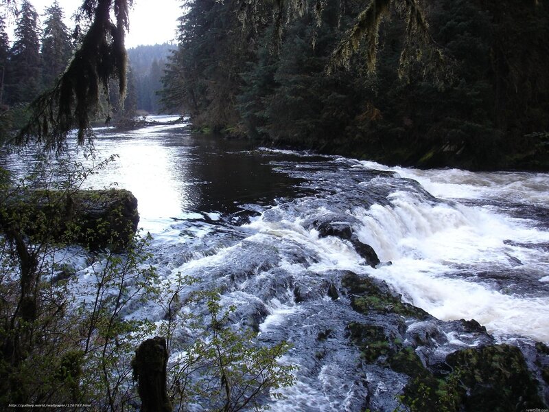 River Waterfall in Forest — Green, Natural, Photograph, Trees, Rocks