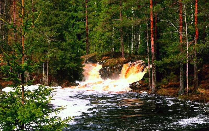 River Waterfall in Forest — Green, Natural, Photograph, Trees