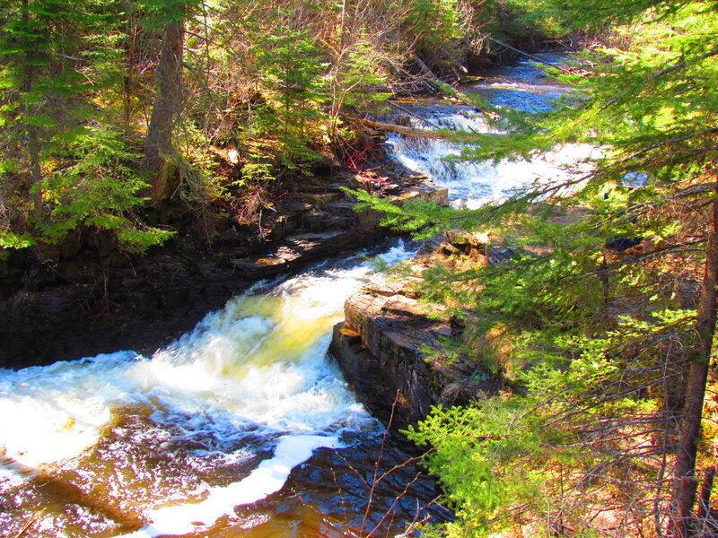River Waterfall in Forest — Green, Natural