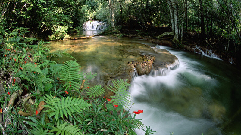 River Waterfall in Forest — Green, Serene, Afternoon, Photograph, Ferns