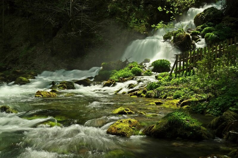 River Waterfall in Forest — Green, Serene, Afternoon, Photograph, Mossy Rocks