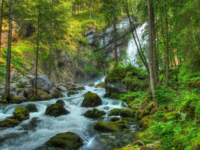 River Waterfall in Forest — Green, Serene, Afternoon, Photograph, Trees, Rocks, Moss