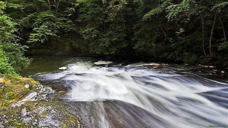 River Waterfall in Forest — Green, Serene, Afternoon, Photograph, Trees, Rocks, Water, Brown, White