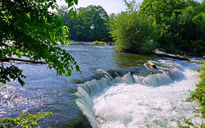 River Waterfall in Forest — Green, Serene, Afternoon, Photograph, Trees, Water, Log