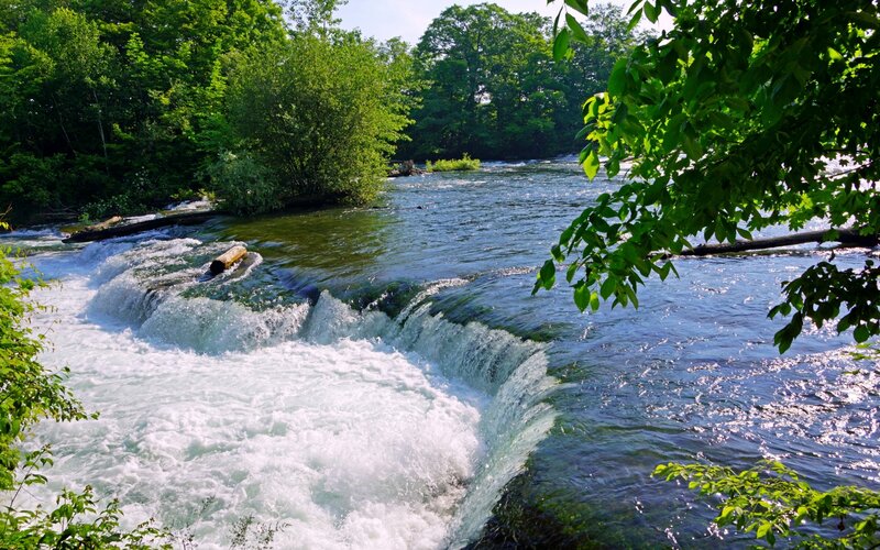 River Waterfall in Forest — Green, Serene, Afternoon, Photograph, Trees, Water