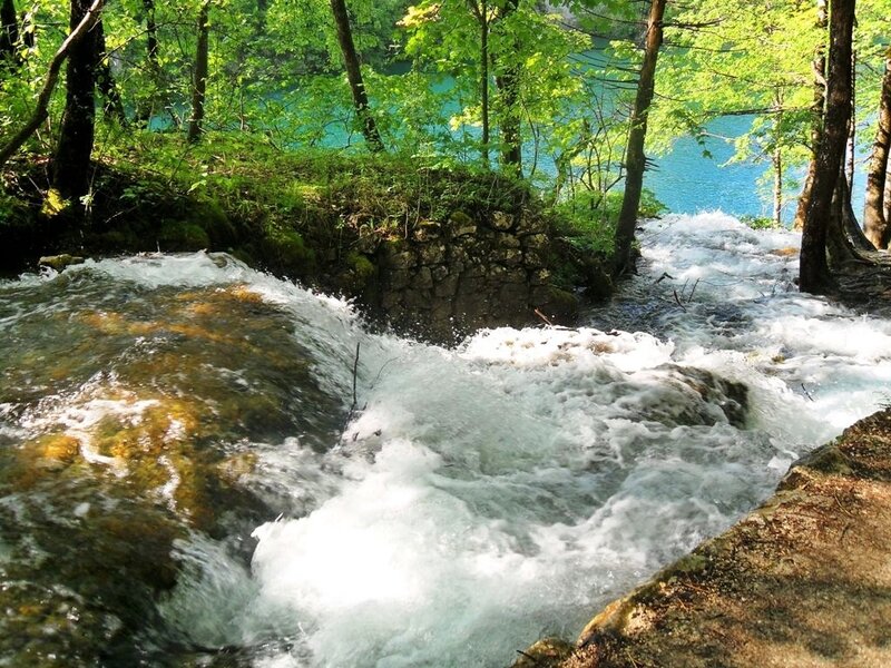 River Waterfall in Forest — Green, Serene, Afternoon