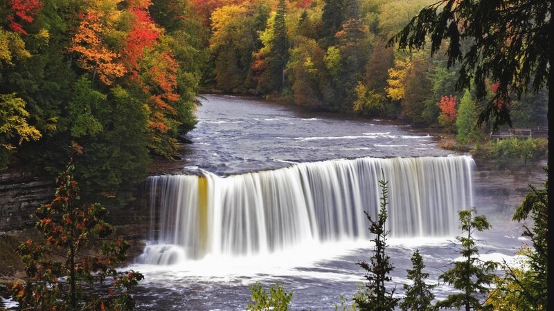 River Waterfall in Forest — Green, Serene, Autumn, Photograph, Trees, Fallen Leaves, Yellow