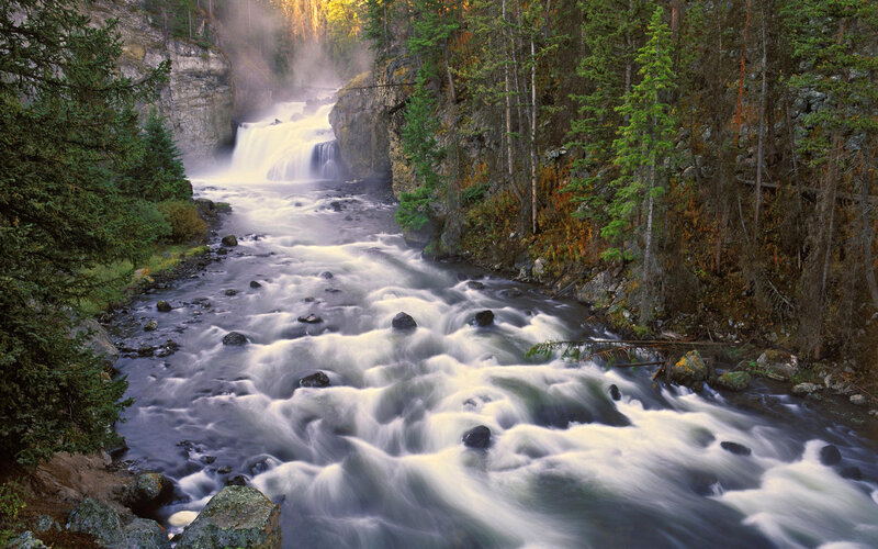 River Waterfall in Forest — Green, Serene, Morning