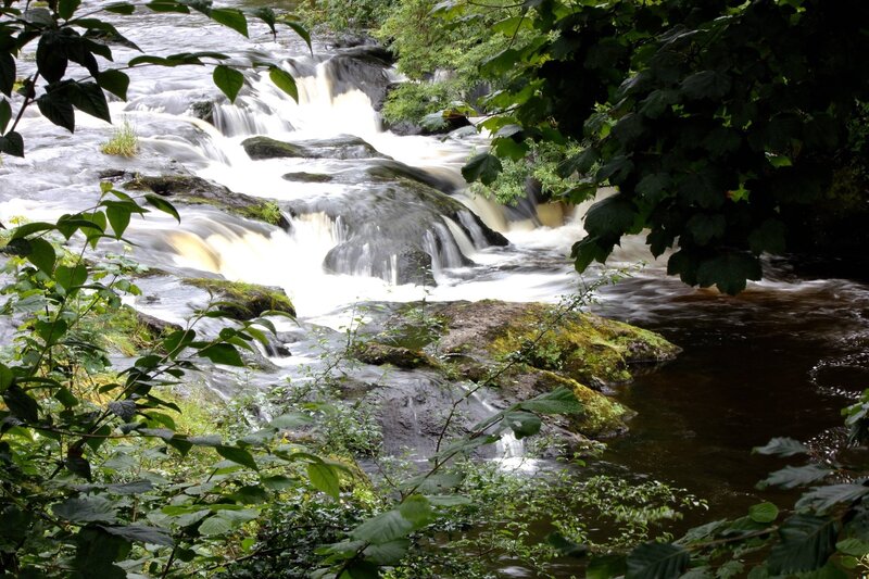 River Waterfall in Forest — Green, Serene, Photograph, Trees