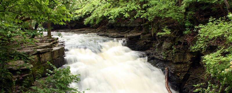 River Waterfall in Forest — Green, Serene, Summer, Photograph, Trees, Rocks, Water