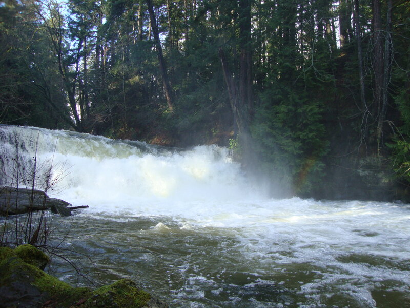 River Waterfall in Forest — Green