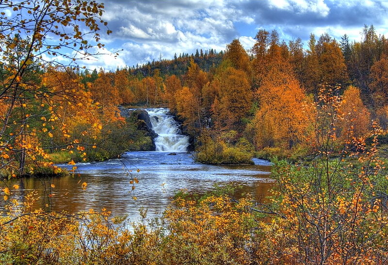 River Waterfall in Forest — Orange