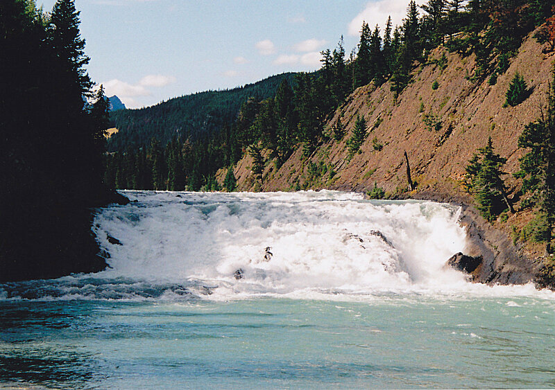 river waterfall in forested canyon
