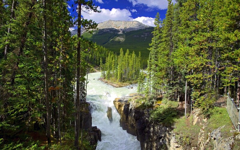 river waterfall in forested canyon