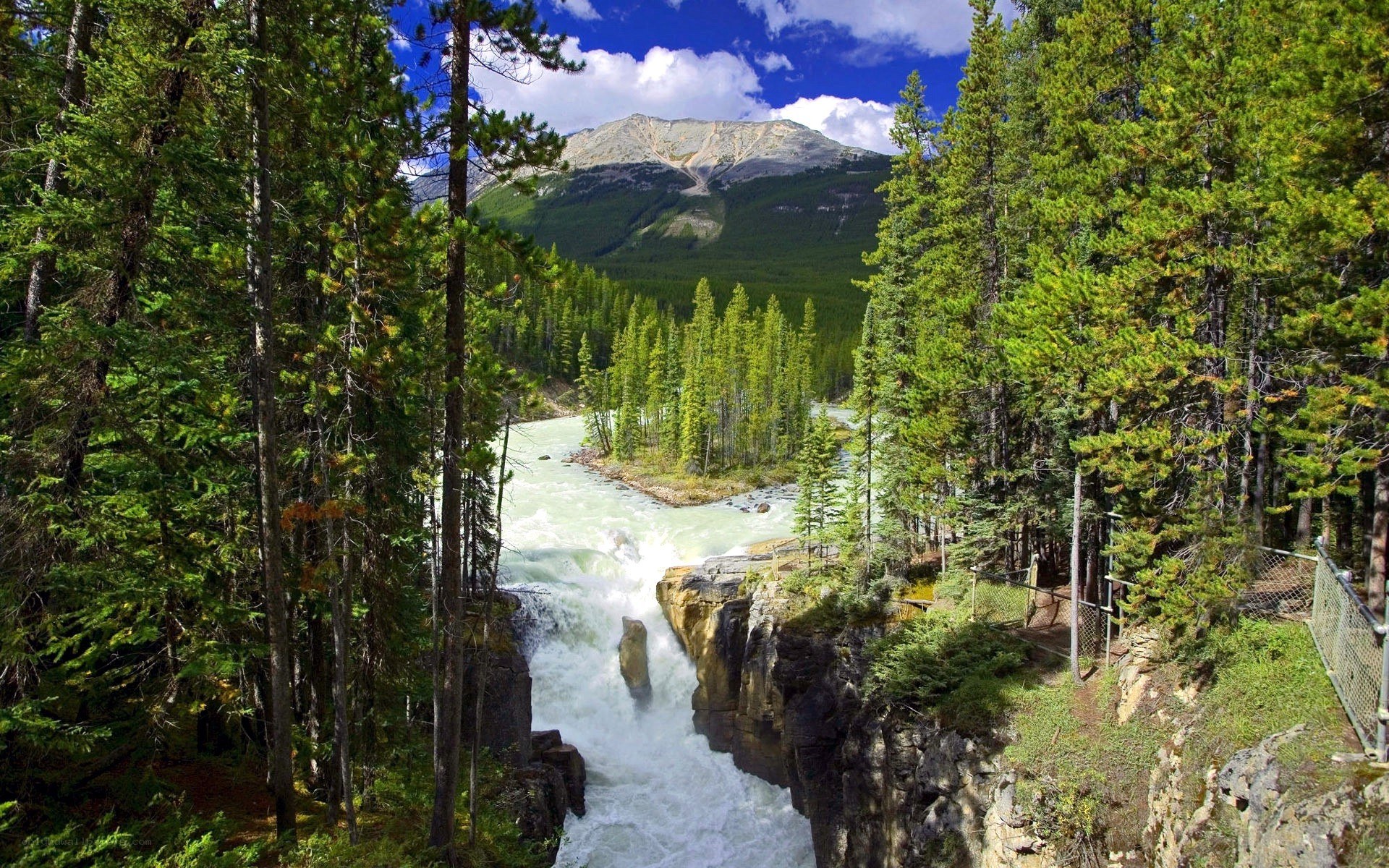 river waterfall in forested canyon