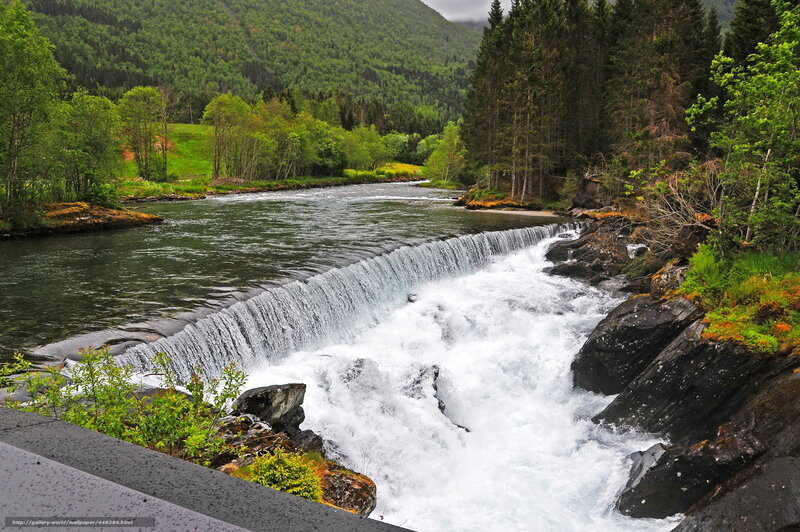 River waterfall in forested valley
