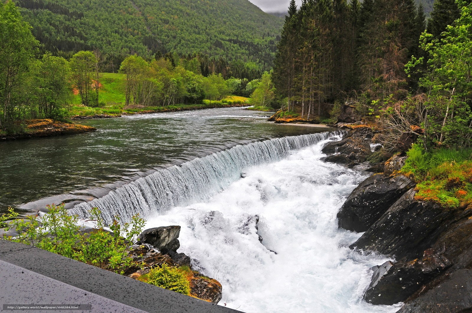River waterfall in forested valley
