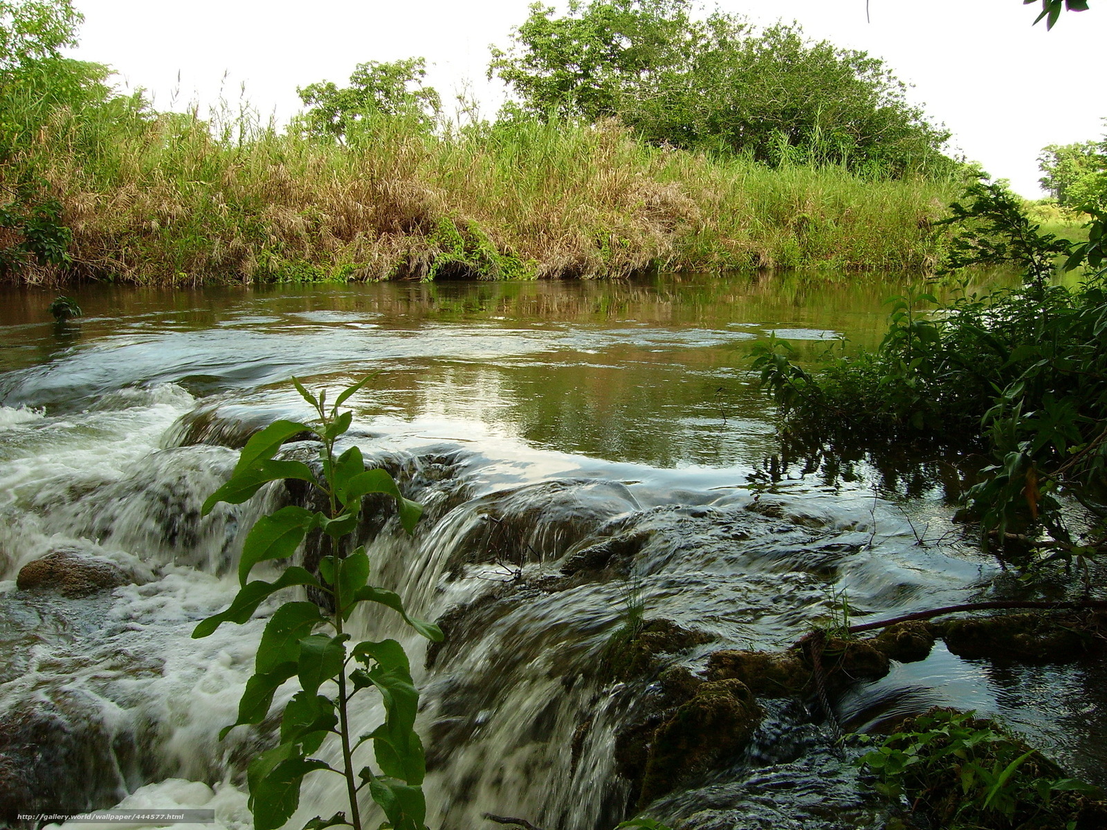 River waterfall in lush greenery