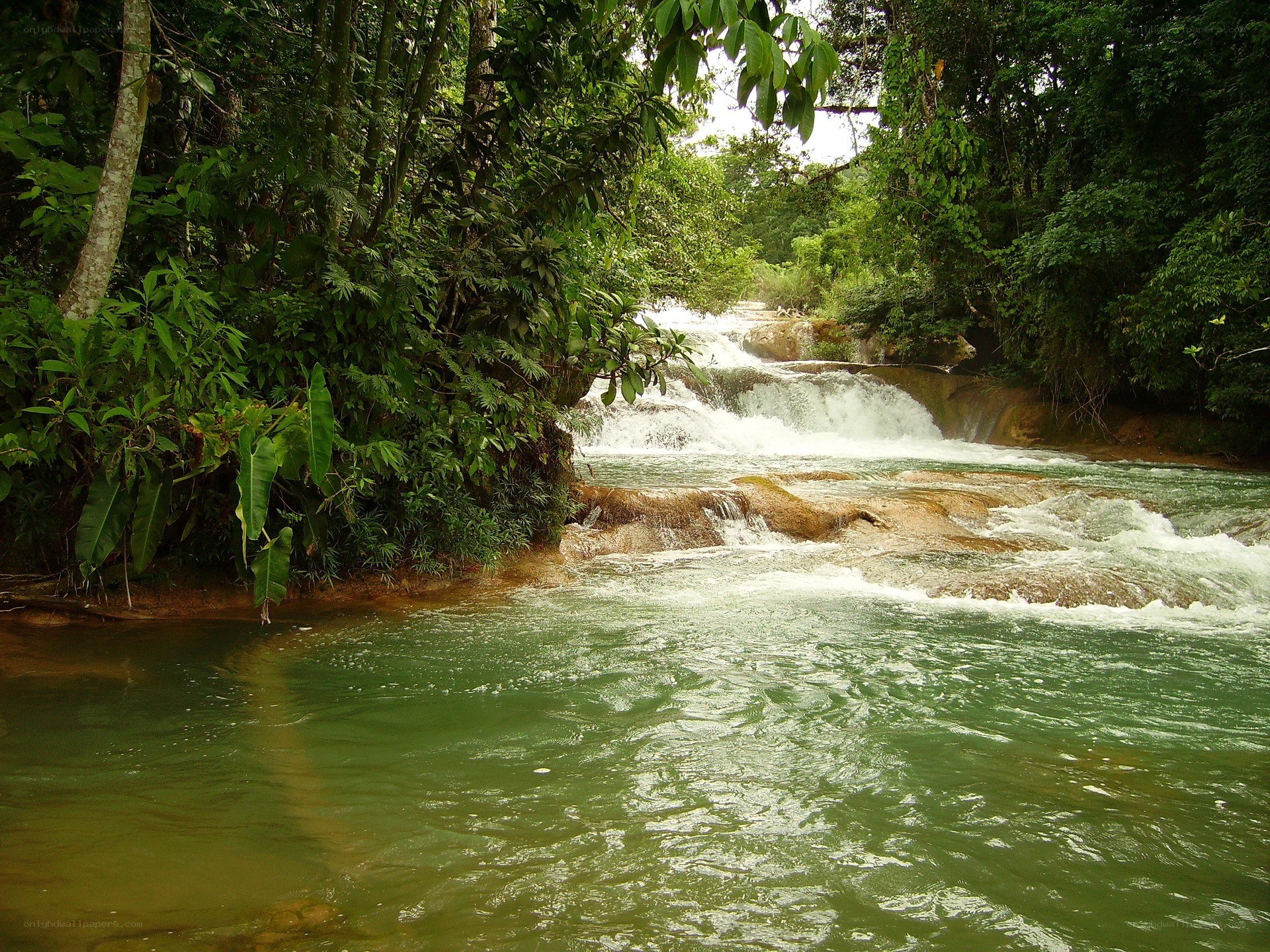 River waterfall in tropical forest