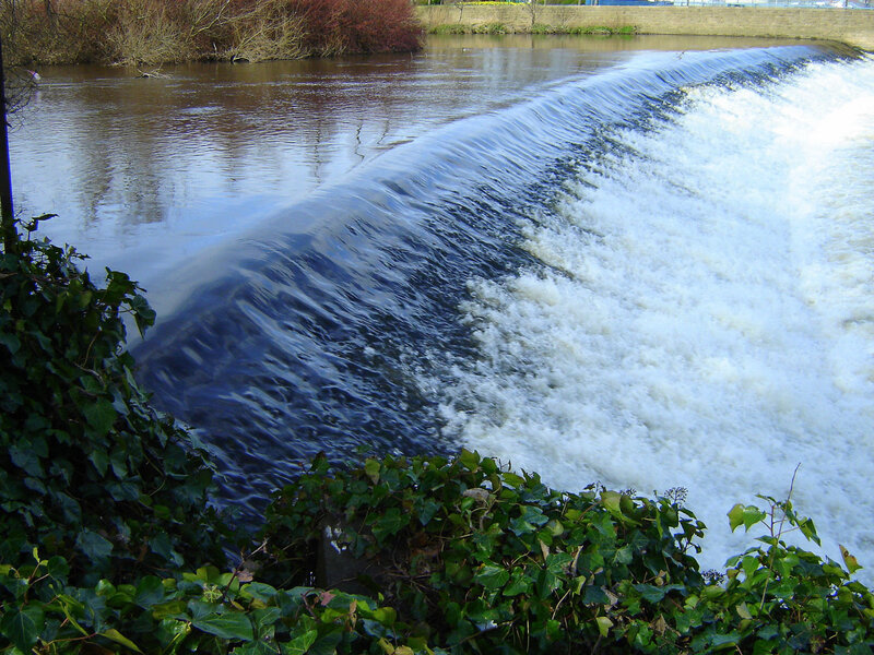 River waterfall with ivy