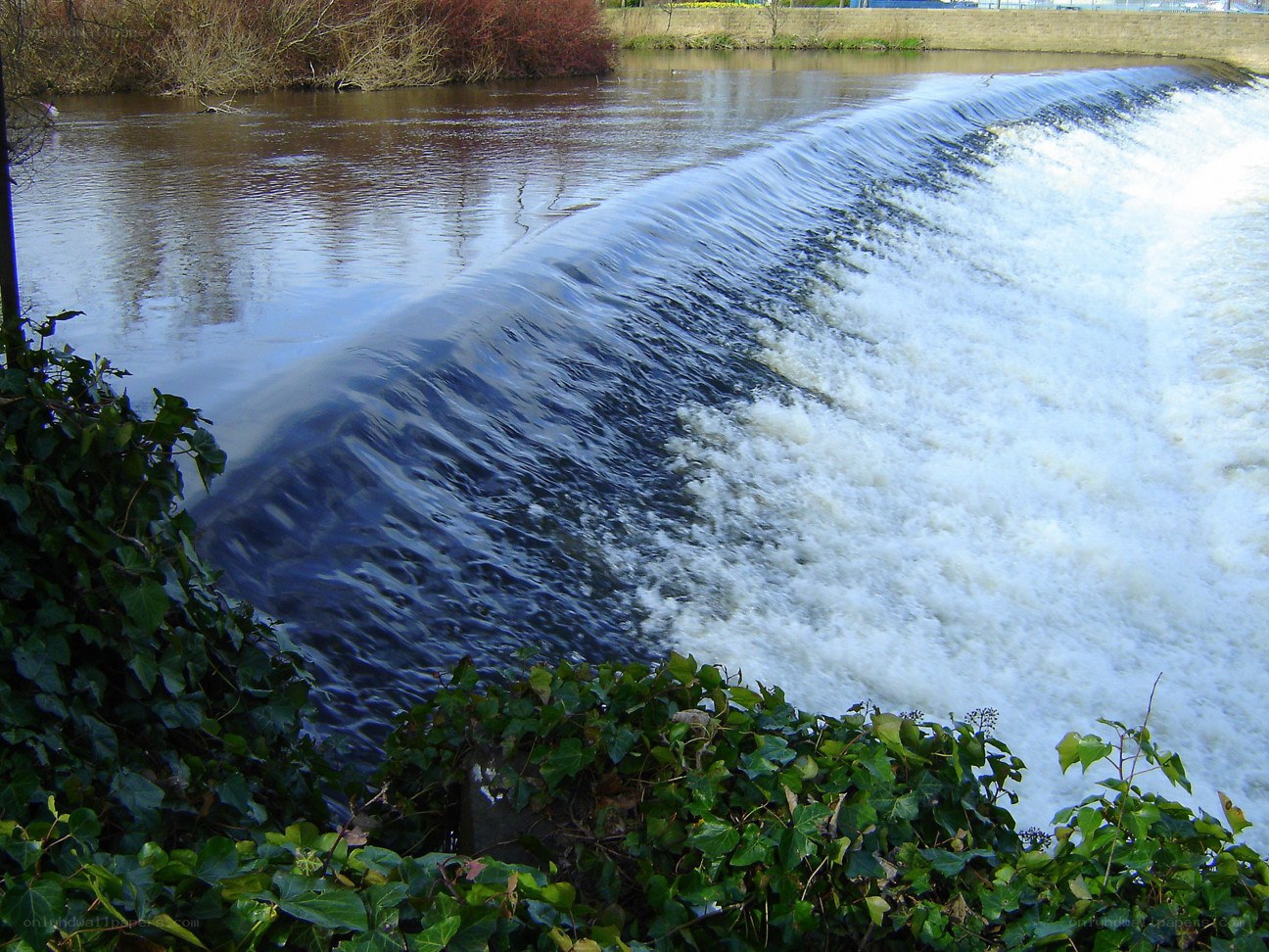 River waterfall with ivy