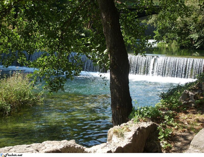 River Waterfall with Trees