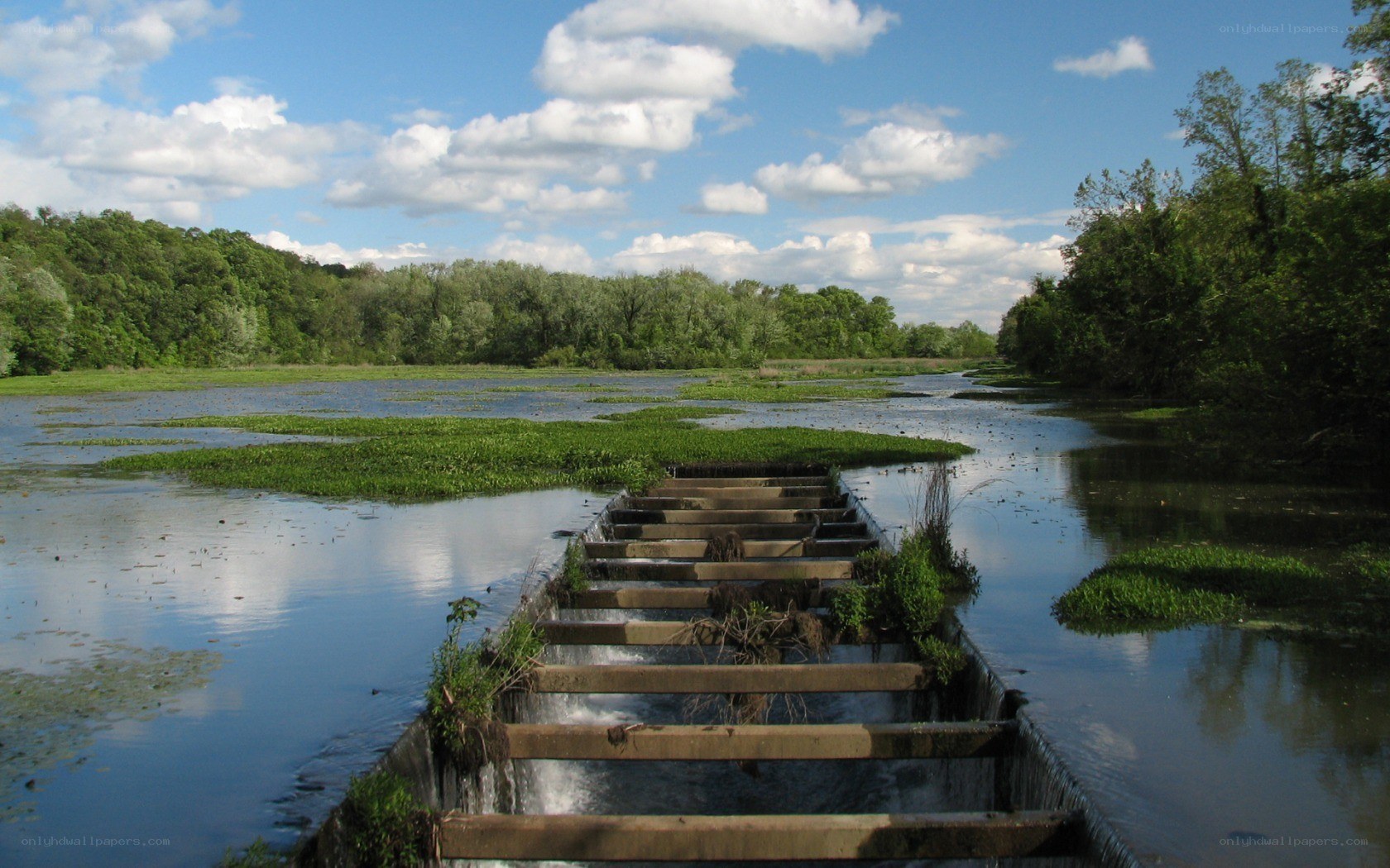 River weir with greenery
