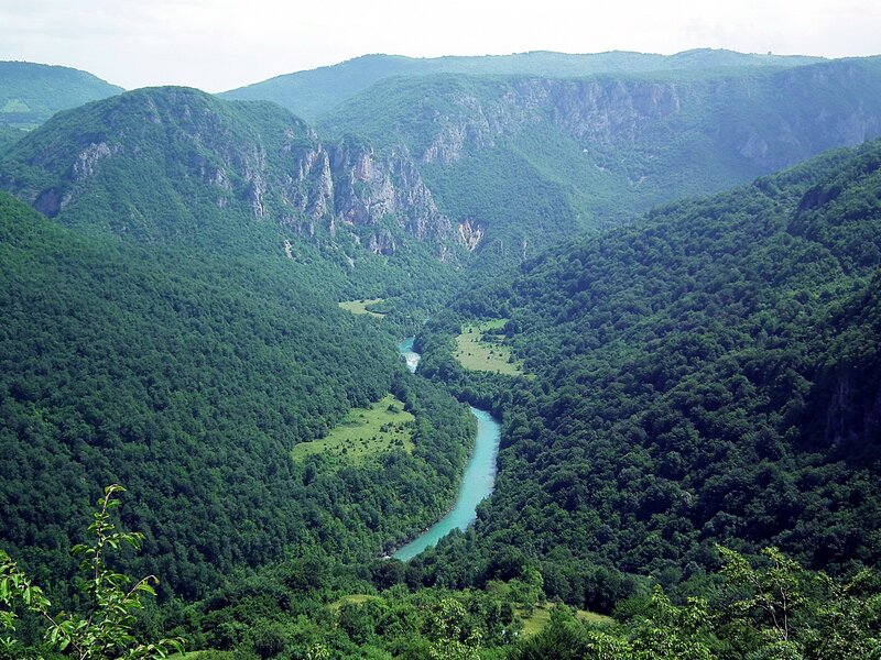 River winding through a lush valley