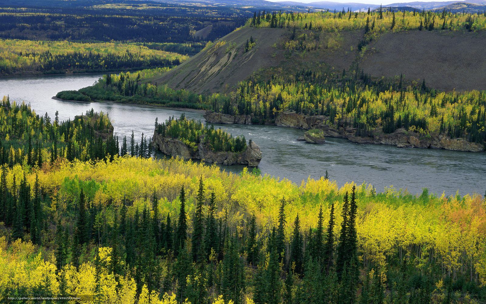 River winding through autumn forest