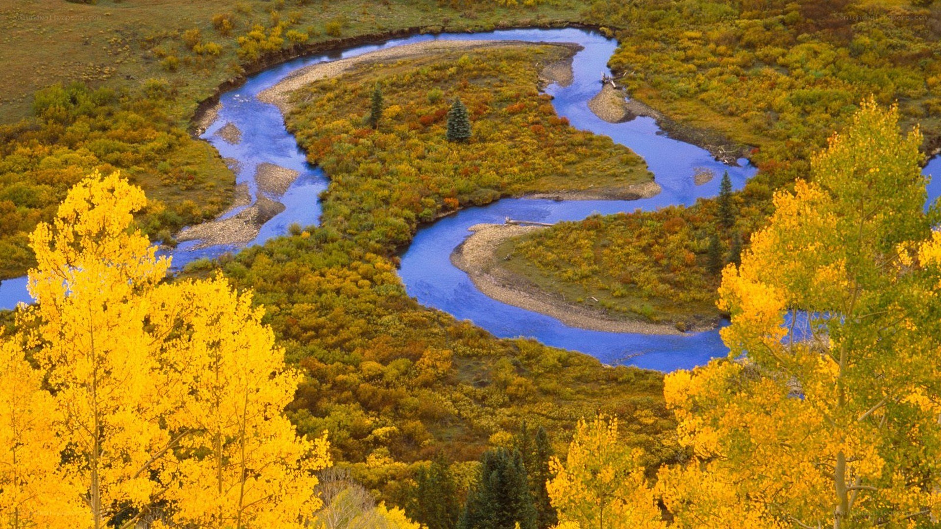 River winding through autumn forest