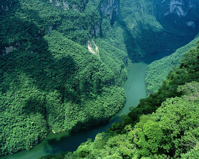 River Winding Through Canyon — Green, Serene, Afternoon