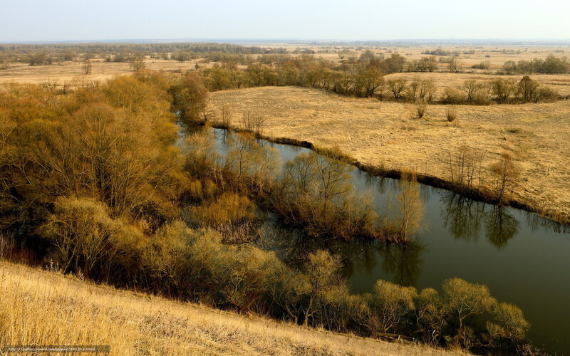 River Winding Through Field — Brown
